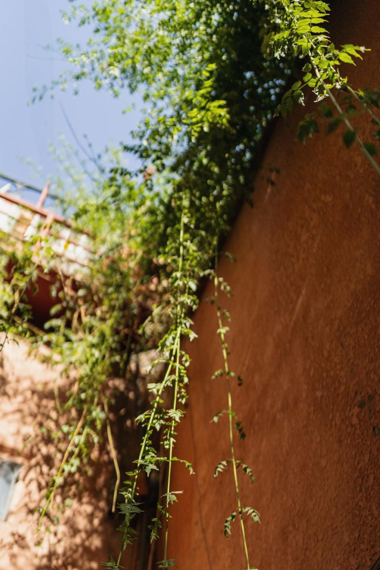 Riad Senja 马拉喀什 外观 照片